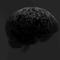 A black and white photo of a brain