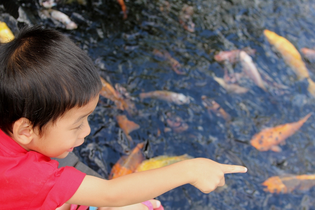 Boy and Fish